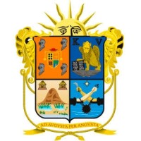 PRESIDENCIA MUNICIPAL DE IRAPUATO logo - Similar company to Mibo