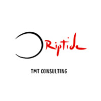 Riptide Tmt Consulting