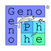GenoPhe Biotech Pvt Ltd logo - Similar company to Kridaverse Pvt Ltd