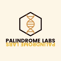 Palindrome Labs logo - Similar company to Mobitech Innovations