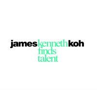 James Kenneth Koh Executive Search logo - Similar company to 33 Talent