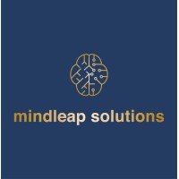 MindLeap Solutions logo - Similar company to Invado Solutions
