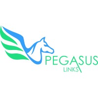 Pegasus Links logo - Similar company to Juicify