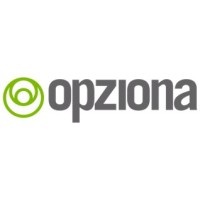 Opziona logo - Similar company to Michigan Consulting