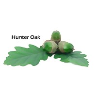 Hunter Oak logo - Similar company to Synogy Uk Ltd.