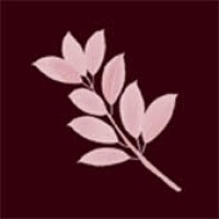 Lisa Verges, Fundraising Consultant logo - Similar company to Leapfrog Group, Llc