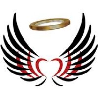 Wings & Wheels LLC logo - Similar company to Ipcs Global - Mysore