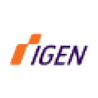 iGEN logo - Similar company to Igen