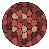 ClinArk logo - Similar company to Compai - Smart Home Composting