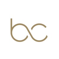 Bridge Counsels logo - Similar company to Bug Aeterium