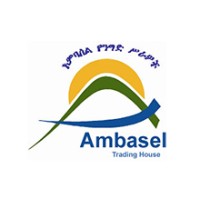 Ambasel Trading House logo - Similar company to Ccs Comservice
