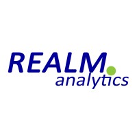 REALM Analytics logo - Similar company to Red Stapler It Consulting Llc