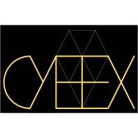 CYBEX logo - Similar company to Dashin
