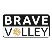 Brave Volley logo - Similar company to Sport Workspace