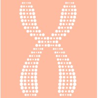 IGENOMIX CHINA logo - Similar company to Igenomix Korea