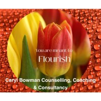 Caryl Bowman Counselling, Coaching & Consultancy logo - Similar company to Boswell-Buck Creative Consulting