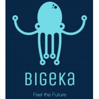 BIG-EKA logo - Similar company to Wingate365