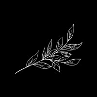 The Plant Firm logo - Similar company to Redemptive Digital