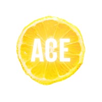 ACE Team Building logo - Similar company to Starstation