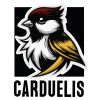 Carduelis L.L.C. logo - Similar company to Qimera