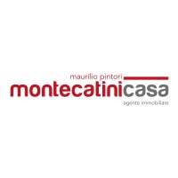 montecatinicasa logo - Similar company to Ncb