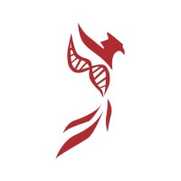 UC Berkeley Phoenix Consulting Group logo - Similar company to Hanhai Biolabs