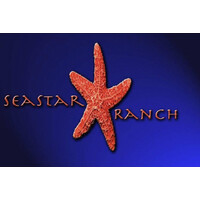 Seastar Hospitality Group logo - Similar company to Kahya Hotels Alanya