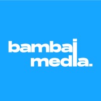 Bambaimedia logo - Similar company to Teamtsb