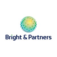 Bright & Partners Ltd logo - Similar company to Ed'Solidaire