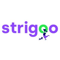 Strigoo logo - Similar company to Codextensions