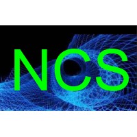 Nelty Cad Services LLC logo - Similar company to Westec Services