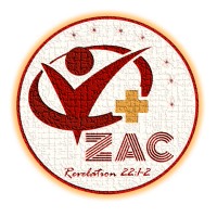 ZION Academe of Coders & Consultants logo - Similar company to Physicians Practice