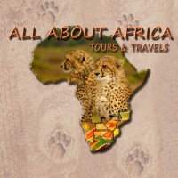 All About Africa Tours & Travels logo - Similar company to Hotwireless