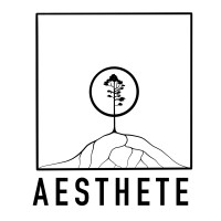 Aesthete logo - Similar company to Cross Solutions - Surveyors And Spatial Consultants