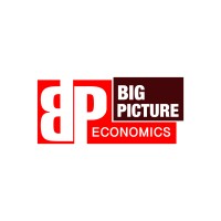 Big Picture Economics logo - Similar company to Sariri Match