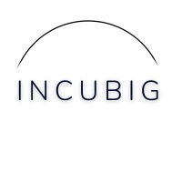 Incubig logo - Similar company to Semantico®