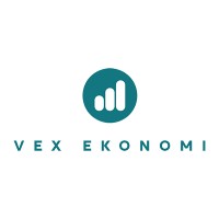 VEX Ekonomi AB logo - Similar company to Numetric Ab