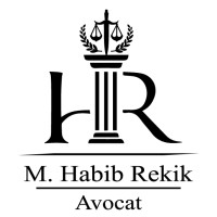 HR International Law Firm logo - Similar company to Halane Law Firm