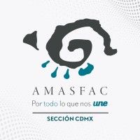 Amasfac CDMX logo - Similar company to Imesfac
