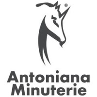 Antoniana Minuterie srl logo - Similar company to Mini Tools Coating S.R.L.