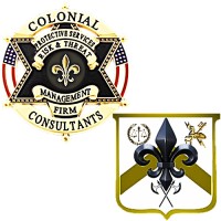 Colonial Consultants logo - Similar company to Wfh
