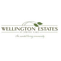 Wellington Estates logo - Similar company to Mergerium®