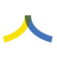 Anderson Strategy Group