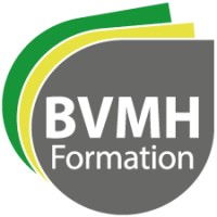 BVMH Formation logo - Similar company to Rl Topo