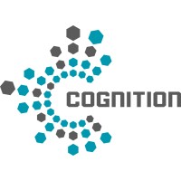 Cognition IES logo - Similar company to Kplex