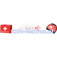 EHBO-Centrum.nl logo - Similar company to Flinndal