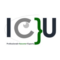 ICU human profiling logo - Similar company to Executive Msc Cyber Security Leiden University