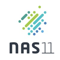 nas11 logo - Similar company to Noblinddz