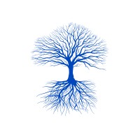 Development Dialogue logo - Similar company to Mulberry Tree