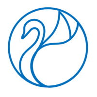 Blue Swan Capital Limited logo - Similar company to Royal Technologies Limited